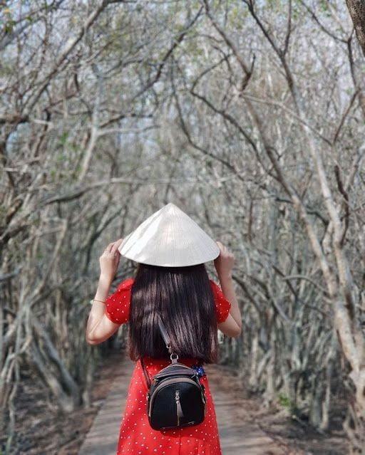 Chị Trúc Ly Nguyễn